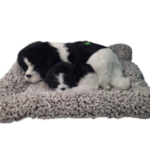 Sleeping Dog with Voice